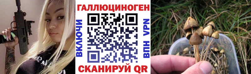 даркнет клад  Сортавала  Псилоцибиновые грибы Psilocybe 
