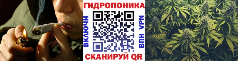Бошки марихуана Ganja  даркнет сайт  Сортавала 
